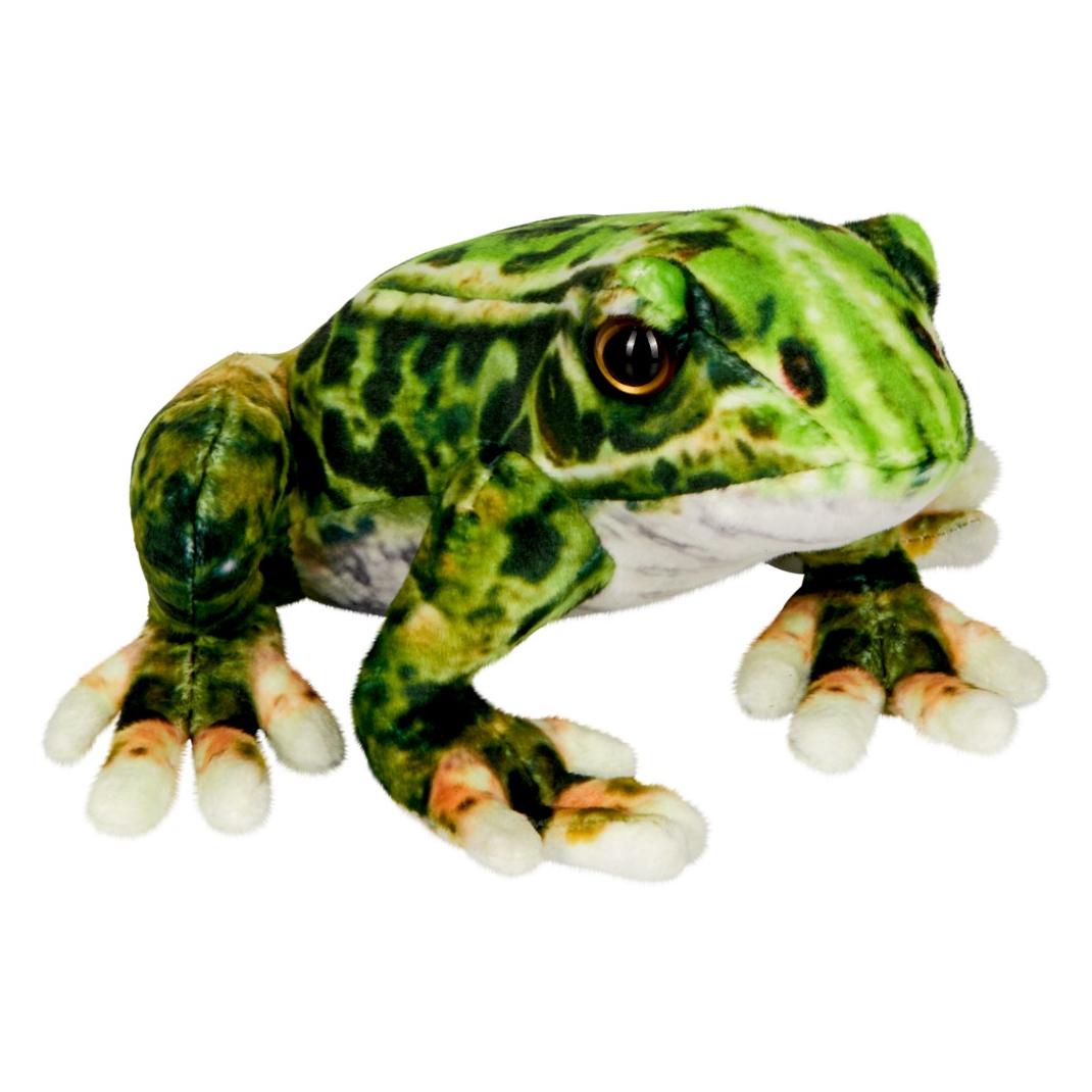 Coppenrath Nature Zoom Wild: Frosch (Plüsch) (17 cm) (59328404)
