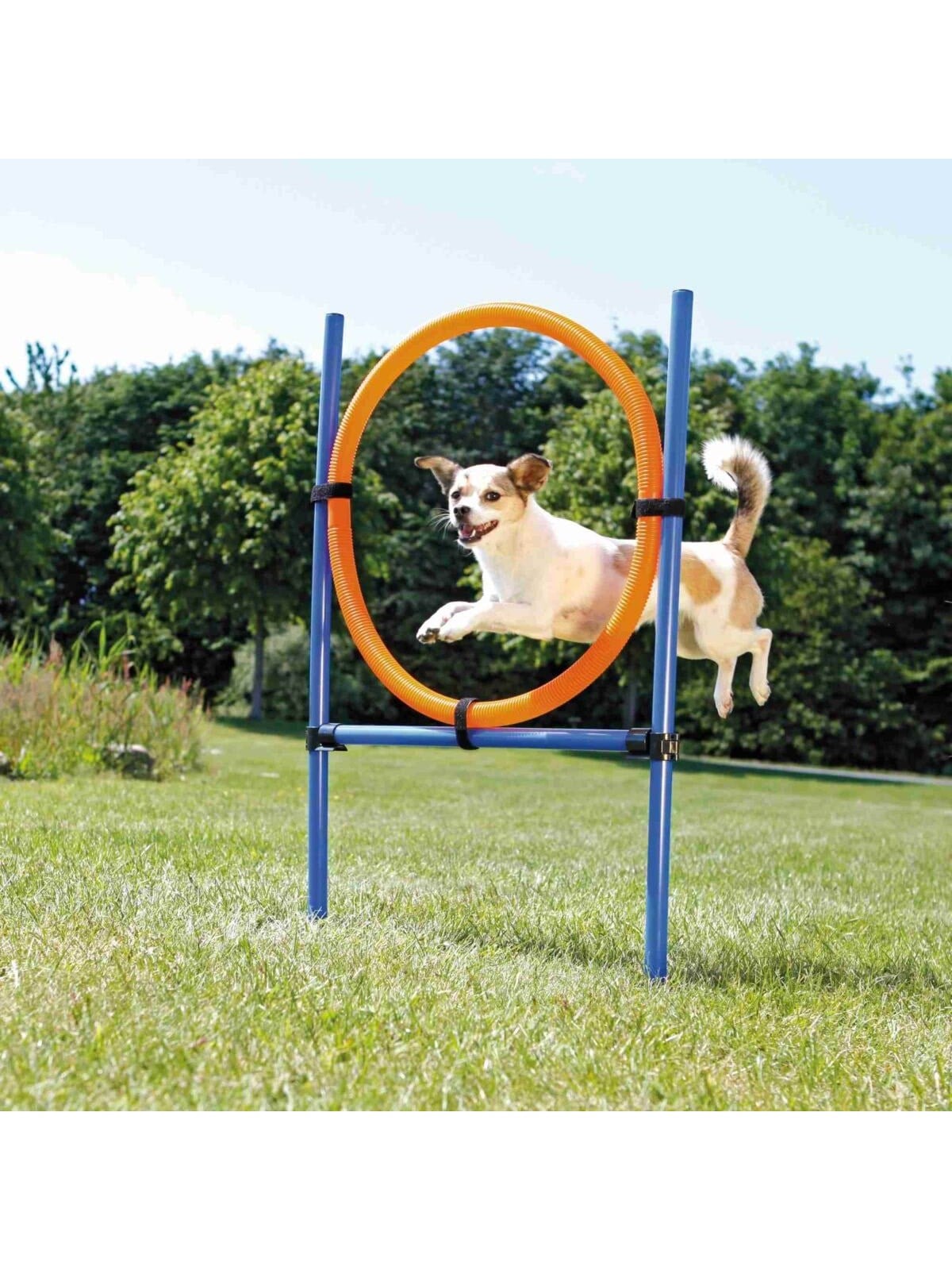 Trixie Fun Agility Ring - Verstellbarer Trainingsreifen für Hunde