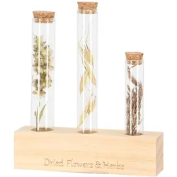 Esschert Design, Vase, Reagenzglas (3x, 0.05 l)