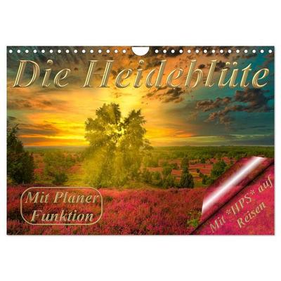 Die Heideblüte (Wandkalender 2027 DIN A4 quer), CALVENDO Monatskalender