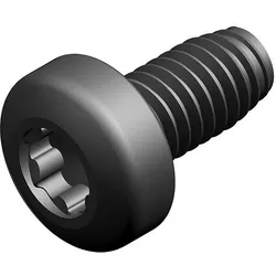 Schraube 40x8/7 TORX (10x) - 7746900442