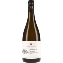 Bourgogne Aligoté Thomas-Collardot 2024 BIO