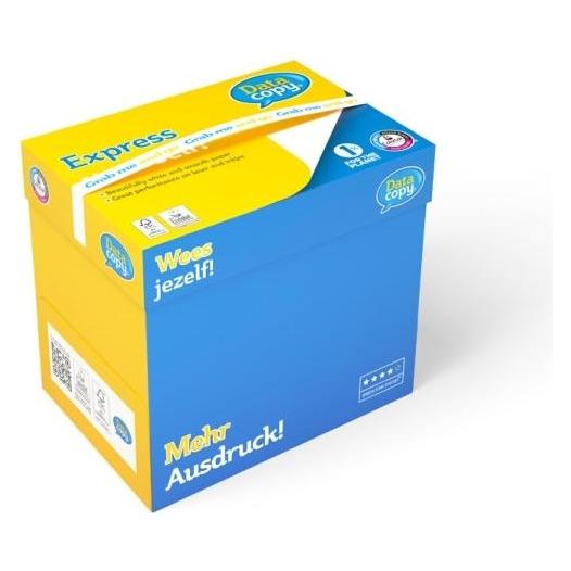 Data Copy Kopierpapier Everyday Printing DIN A4 90 g/qm 500 Blatt (A4, 500 Blätter, 90 g/m²) (521834)