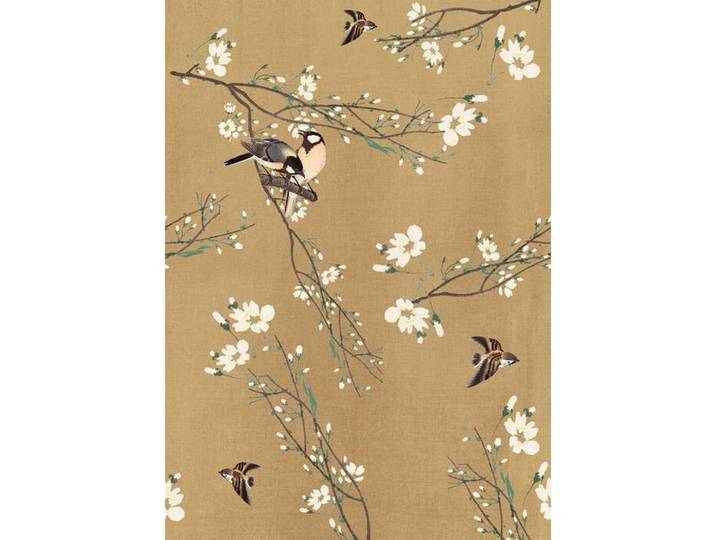 FOTOTAPETE JAPANISCHE KIRSCHE MIT VÖGEL