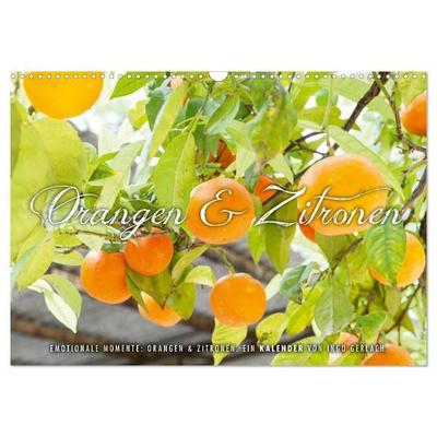Emotionale Momente: Orangen & Zitronen. (Wandkalender 2027 DIN A3 quer), CALVENDO Monatskalender