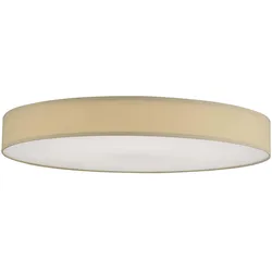 Hufnagel, Deckenleuchte, LED-Deckenleuchte