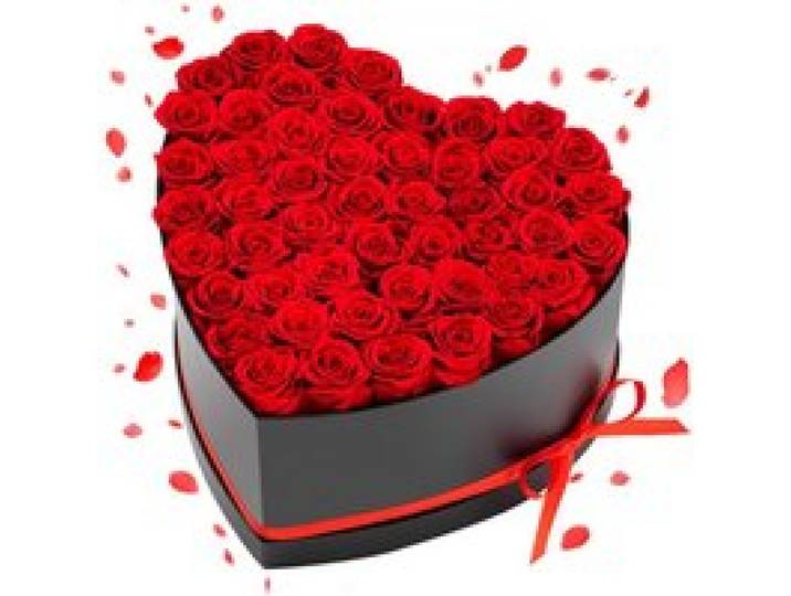 VEVOR Rose Éternelle 50 Fleurs Éternelles Préservées Boîte Cœur, Bouquet Rose Éternelle, Cadeau pour Elle, Femme, Épouse, Maman, Sœur, Mamie, Amie, Anniversaire, Saint-Valentin, Noël, Rouge Classique