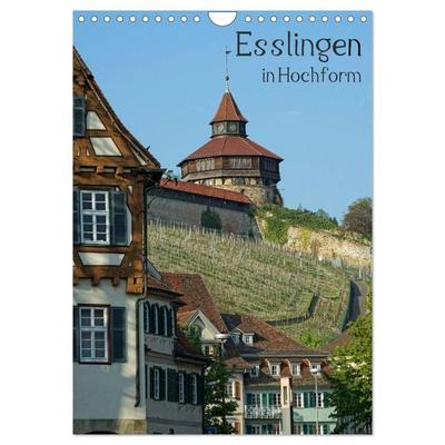Esslingen in Hochform (Wandkalender 2026 DIN A4 hoch), CALVENDO Monatskalender