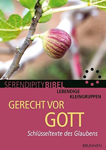 Siegbert Riecker - Gerecht vor Gott: Schlüsseltexte des Glaubens - Preis vom 16.10.2026 11:41:07 h