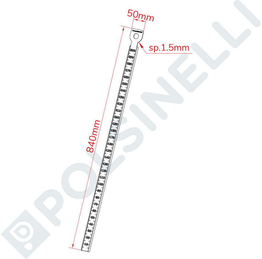 Polsinelli Mesureur de niveau Inox Birrometro 300