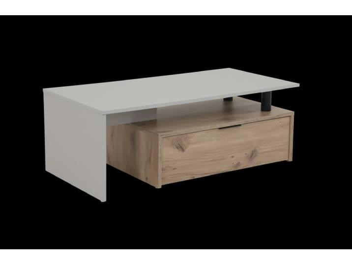 Couchtisch DENNIS 110 x 55 cm hellgrau/braun