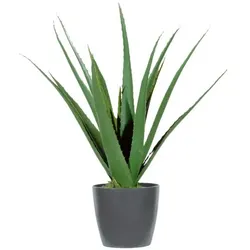 meet Kunstpflanze »Aloe Vera« 45 cm, 45 cm