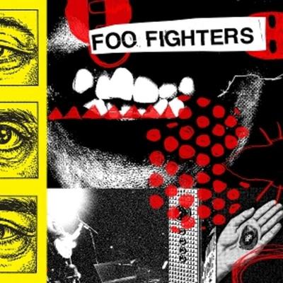 Your Favorite Toy - Foo Fighters, Vinyl