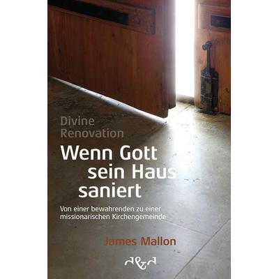 Divine Renovation – Wenn Gott sein Haus saniert, Gebundene Ausgabe von James Mallon, D & D Medien, 978-3-86400-017-1