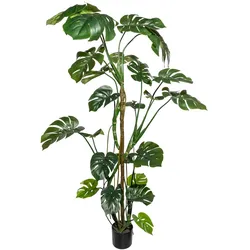 CREATIV green künstliche Pflanze Splitphilodendron, ca 180cm