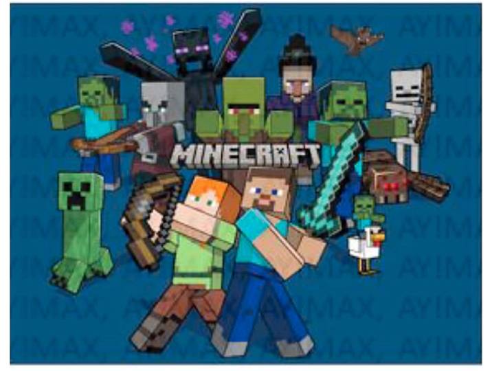 Kinderteppich MINECRAFT 45x70cm
