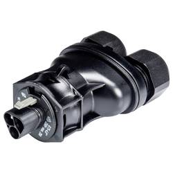 Wieland Electric 96.032.4253.1 Steckverbinder