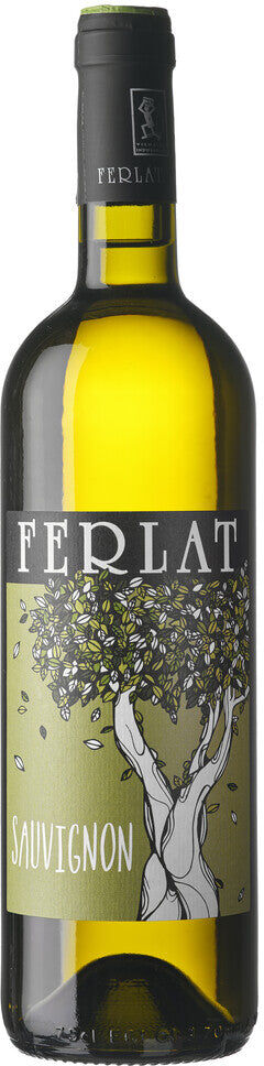 Sauvignon Ferlat 2024