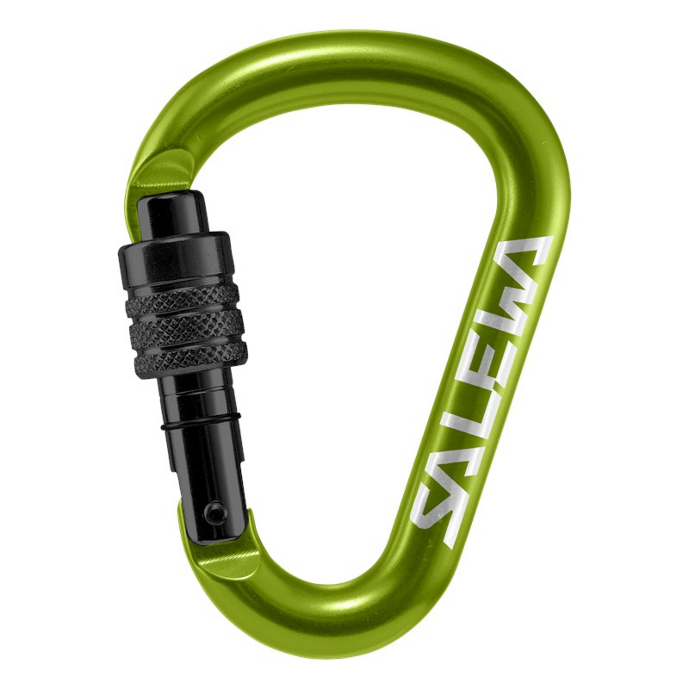 Salewa HMS Screw G2 Karabiner Karabiner gruen Größe M Sportklettern