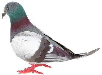 Uplift Picks FeatherCharm Miniature Foam Pigeon Figurine Christmas Bird Decor FeatherCharm Miniature Foam Pigeon Figurine Christmas Bird Decor