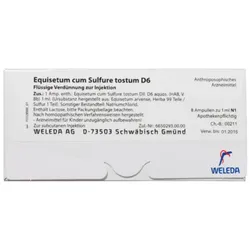 EQUISETUM CUM Sulfure tostum D 6 Ampullen 8X1 ml