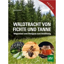 Waldtracht von Fichte und Tanne, Fachbücher von Peter Buchner