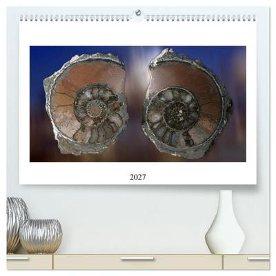 Versteinerte Welt (hochwertiger Premium Wandkalender 2027 DIN A2 quer), Kunstdruck in Hochglanz