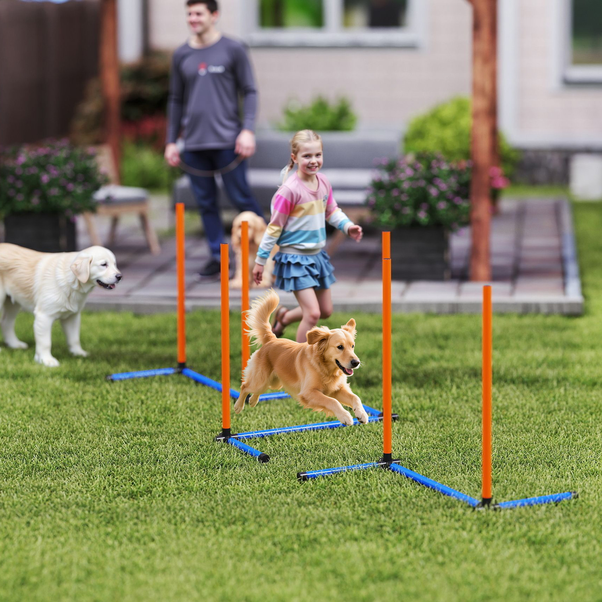 Pawhut Set Agility per Cani 3 pezzi Attrezzatura Agility con pali da slalom Borsa da trasporto Set di allenamento per tutte le taglie Arancione   Aosom Italy