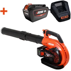 DPB-2600 Akku-Blasgerät Set + 2x 5 A  Akku + Lader