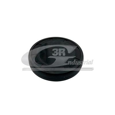 3RG Stopfen, Kipphebelwellen-Montagebohrung 84613 für RENAULT