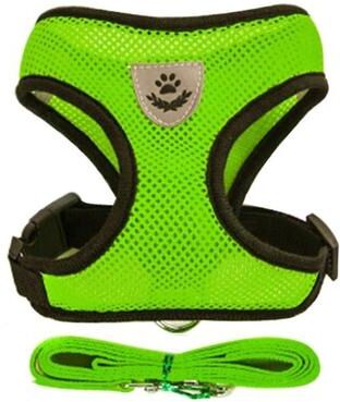 Uplifted Finds Essential Air Mesh Comfort Harness & Leash Set green l