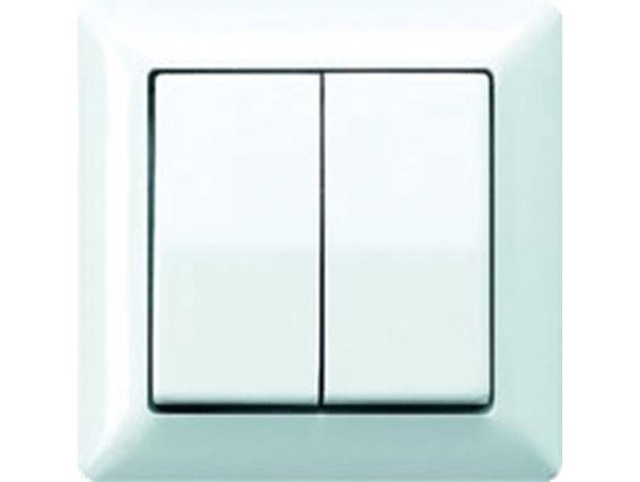 Jung AS500 Schakelelement/Centrale Plaat - AS590-5WW - E32Q3