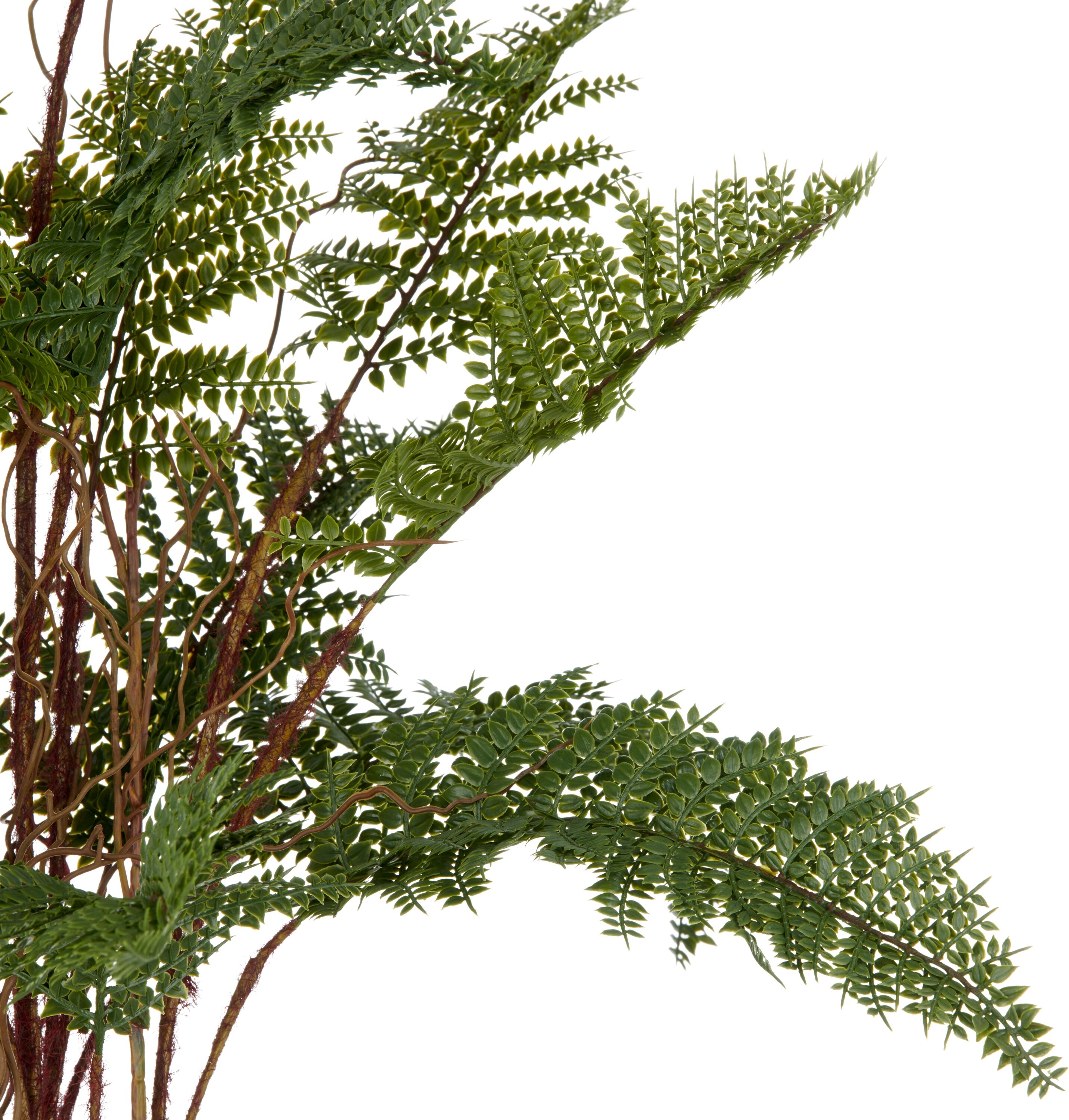 Kunstpflanze CREATIV GREEN "Adlerfarn", grün, H:70cm, Kunststoff, Kunstpflanzen, Kunstpflanze, mit zahlreichen Farnwedeln