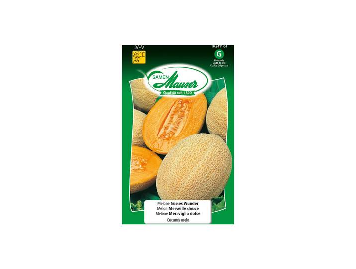 Melone Süsses Wunder