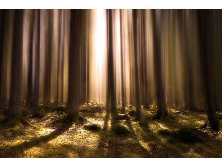 Fototapete PAPERMOON Photo-Art CHRISTIAN LINDSTEN, ATEM DES LEBENS , bunt, B:5m L:2,8m, Vlies, Tapeten, Fototapete