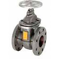 Zehnder Pumpen 10649 Absperrschieber DN 100 Absperrschieber DN 100 Grauguss