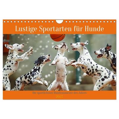 Lustige Sportarten für Hunde (Wandkalender 2027 DIN A4 quer), CALVENDO Monatskalender