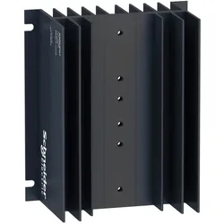 Schneider Electric Kühlkörper SSRHP07