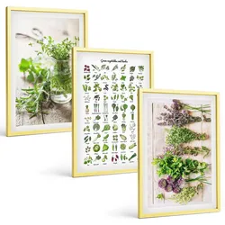 BILDER SET 3er Set - 40x60 cm Goldrahmen - Getrocknete Kräuter für die Küche