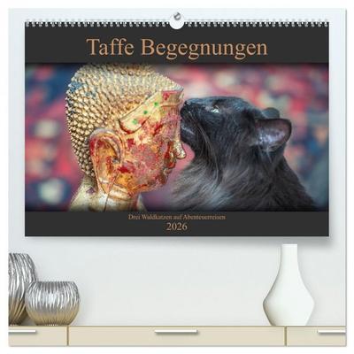Taffe Begegnungen-Drei Waldkatzen auf Abenteuerreisen (hochwertiger Premium Wandkalender 2026 DIN A2 quer), Kunstdruck in Hochglanz