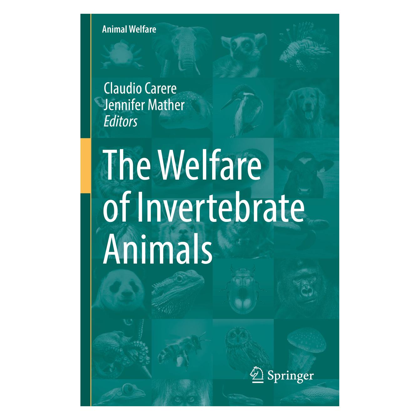 Springer The Welfare of Invertebrate Animals (Englisch, Softcover, Claudio Carere, Jennifer Mather) (56157718)