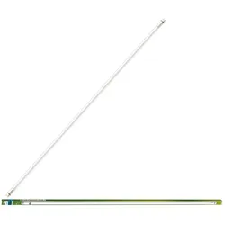 Philips, Leuchtmittel, Leuchtstoffröhre (G13, 3700 lm, 1x)