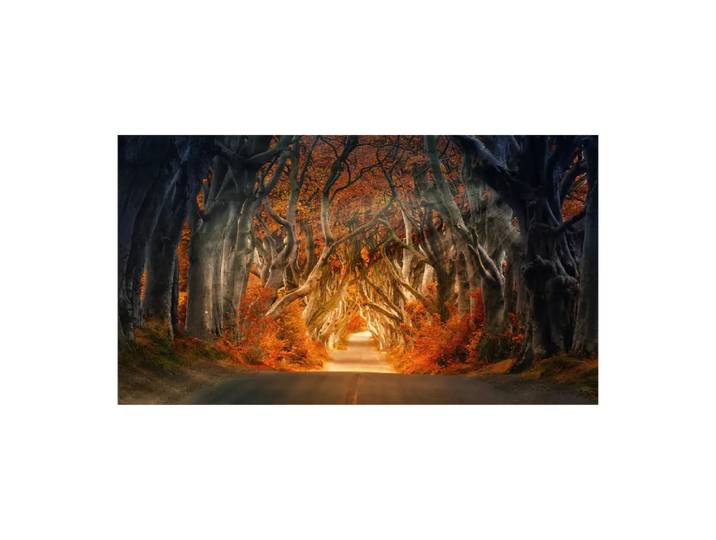 Leinwandbild Digital Art, Alldecor, beige/orange/schwarz, Textil