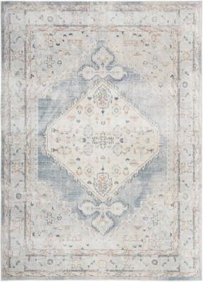 Nourison Abby Machine Washable Indoor only Persian Distressed Area Rug