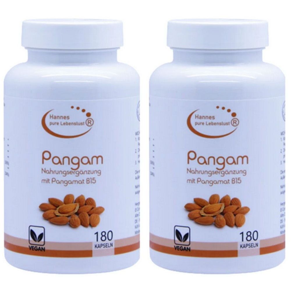 Pangam Vitamin B15 Vegi Kapseln 2x 2x180 St