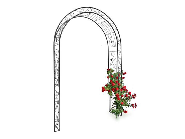 Rosenbogen Blatt Schwarz
