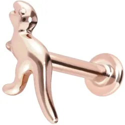 14 Karat Gold Labret mit Push Fit DINOSAURIER