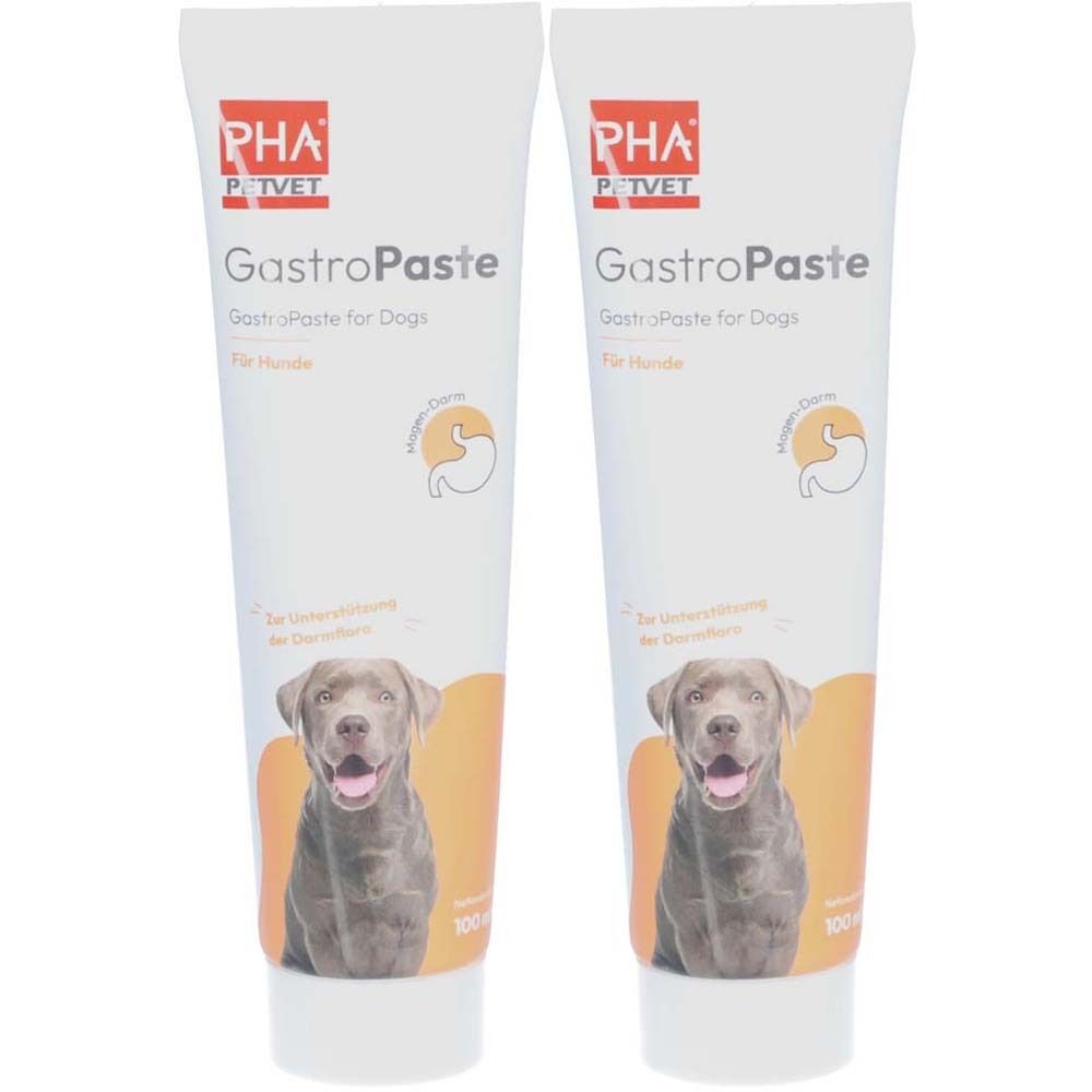 PetVet PHA GastroPaste für Hunde Doppelpack 2x100 ml Paste