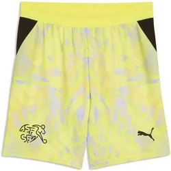 Puma, Unisex, Sporthose, SFV Shorts Replica GK Jr (140), Gelb