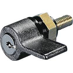 Rittal SZ 2485.000 Handgriff mit Sicherheitszylinder-Einsatz 1 St. Piece 2485000